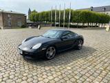 Porsche Cayman S S - Porsche Cayman: Coupe