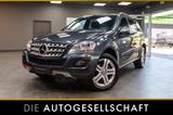 Mercedes-Benz ML 350 SPORTPAKET*XENON*LUFT*LEDER*SHD*AHK*2.HD* - Mercedes-Benz ML 350 mit Benzin-Antrieb