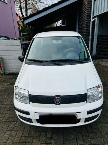 Fiat Panda 1.1. Probefahrt bis Dienstag mö...