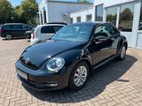 Volkswagen Beetle Lim. +Sitzheiz/Tempo/CD Radio+ - aus 2012: Kleinwagen