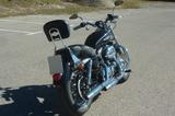 Harley-Davidson XL 1200 C Sportster - Offers matching your search criteria