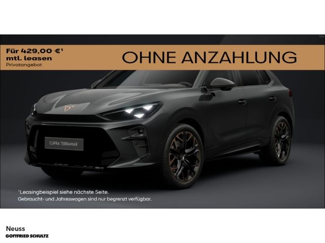 Terramar VZ 2.0 TSI 265 PS DSG 4Drive AHK NAVI M