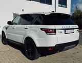 Land Rover Range Rover Sport 3.0 TDV6 SE SE - Land Rover Range Rover Sport: Weiß