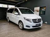 Mercedes-Benz V 250d`AVANTGARDE`EDITION`4MATIC lang - Mercedes-Benz V-Klasse: Avantgarde
