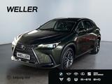 Lexus NX 450h+ E-FOUR Executive Line *HUD*Leder*360Gra - Lexus NX Executive