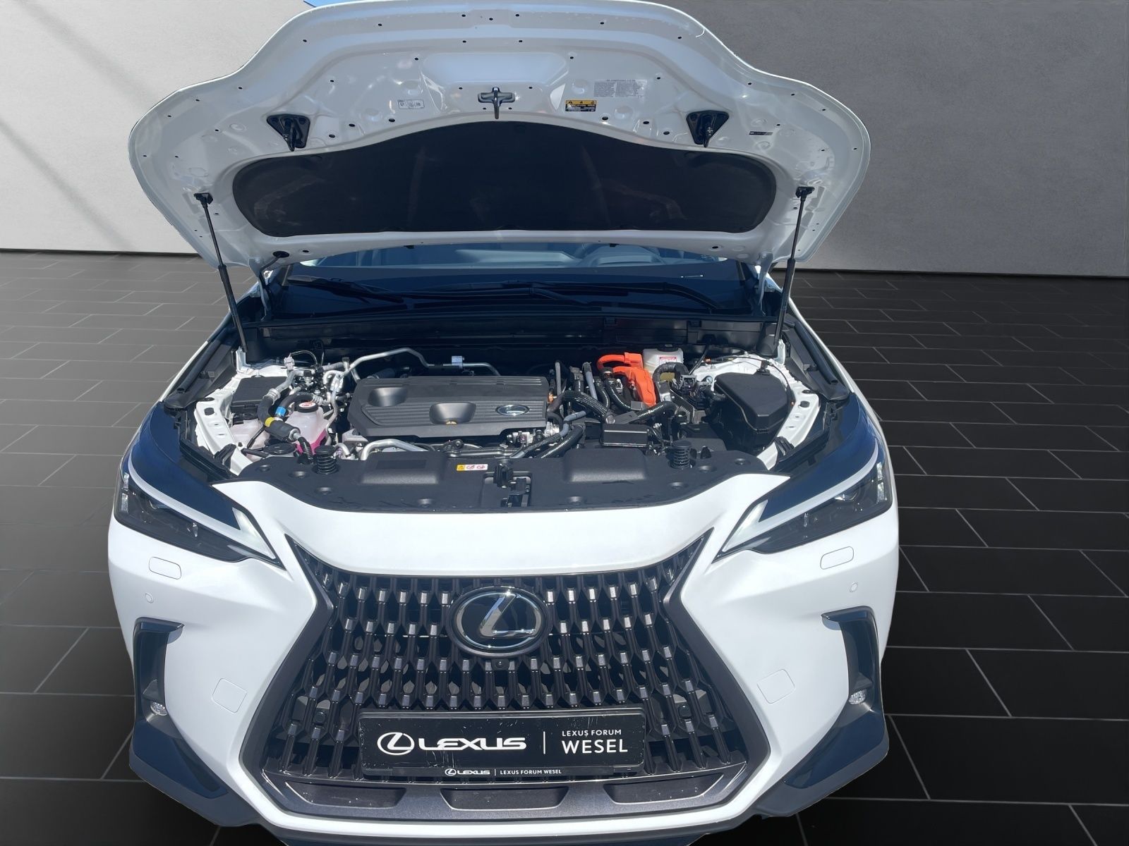 Lexus NX 450h - Bild 20