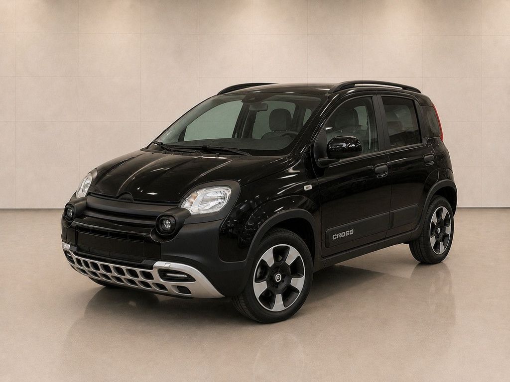 Image of Fiat Other