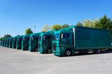MAN TGX 18.470 / 2022 / Curtainsider / 15 units - MAN Reisebus
