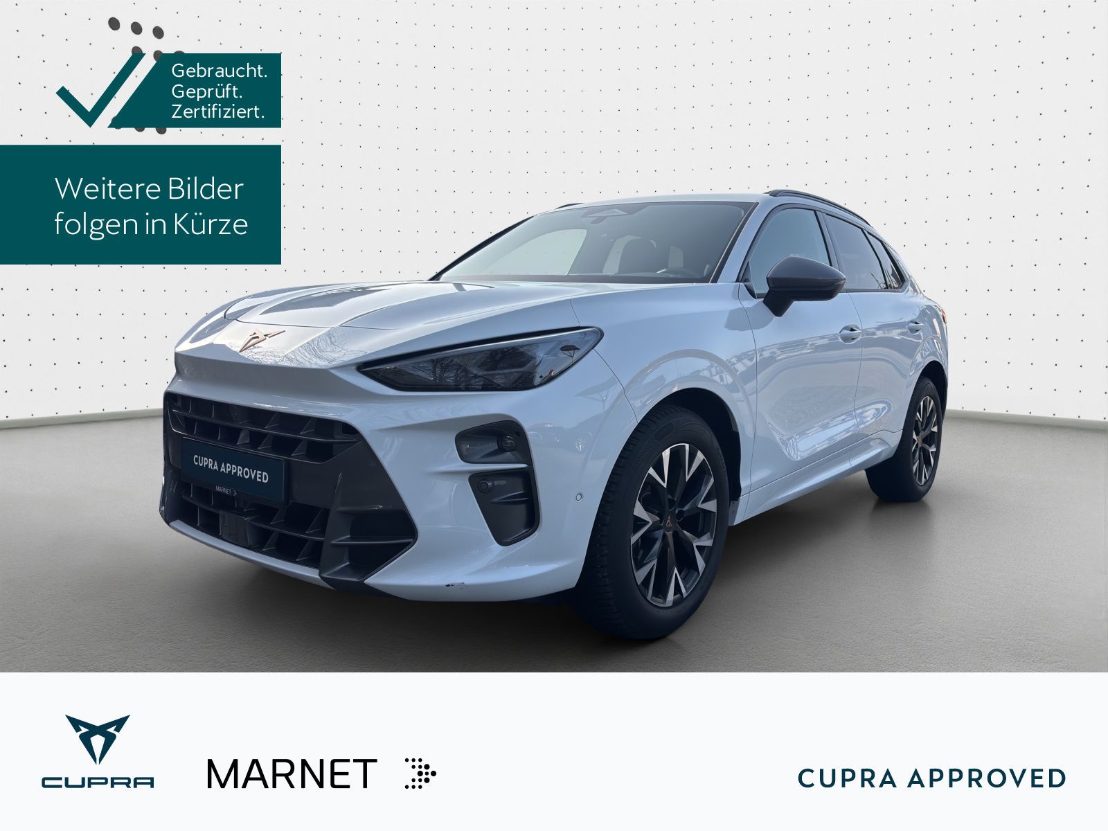 Cupra Terramar - Bild 1