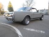 Ford Mustang - Ford Mustang Gebrauchtwagen in Wuppertal