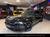 Ford Mustang 3.7 V6 / Cabrio / Night-Edt. / Xenon / - Ford Mustang: Cabrio, V6
