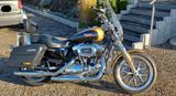 Harley-Davidson Sportster 1200T SuperLow - HARLEY-DAVIDSON SPORTSTER SUPERLOW 1200T