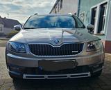 Skoda Octavia 2.0 TDI DSG 4x4 Scout Combi Allrad - Skoda Octavia mit Diesel-Antrieb: Beige, Kombi
