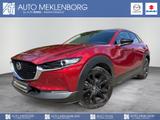Mazda CX-30 2.0l "Homura" 150PS M Hybrid - Mazda CX-30 Gebrauchtwagen in Berlin