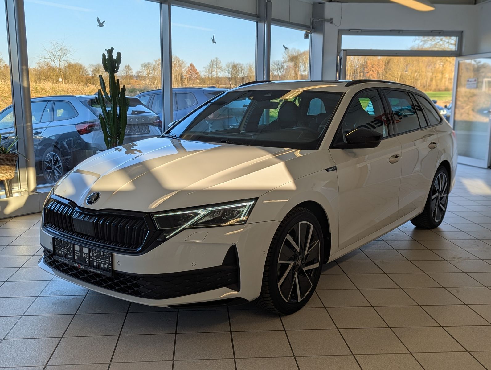 SKODA Octavia 1.5 TSI Sportline Pano Martix AHK 5J Gar - Image 3