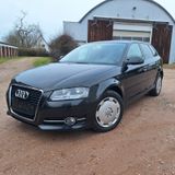Audi A3 1.6 TDI (DPF) 77kW Attraction TÜV NEU - Audi A3 aus 2010: TDI