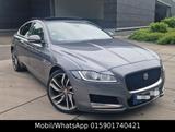 Jaguar XF Portfolio 3.0l 300 Ps *Pano*LED*Tüv* - Jaguar XF: Portfolio