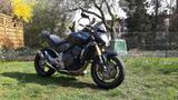 Honda CB600F Hornet PC41, ABS, TÜV, top gepflegt - HONDA 2008 600 HORNET
