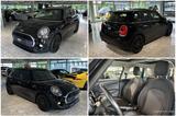 MINI Cooper Cooper 5-TÜRIG*PANO-16"*VISIUAL-BOOST*PDC - MINI Cooper C Gebrauchtwagen