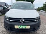 Volkswagen Caddy PKW Maxi Trendline BMT 1.4 TEMP/AHK/7SITZE - Volkswagen Caddy Maxi in Lübeck