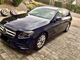 Mercedes-Benz E 220d T AMG Line,Widescreen,8-Fach, - Mercedes-Benz E 220 mit Diesel-Antrieb: Blau