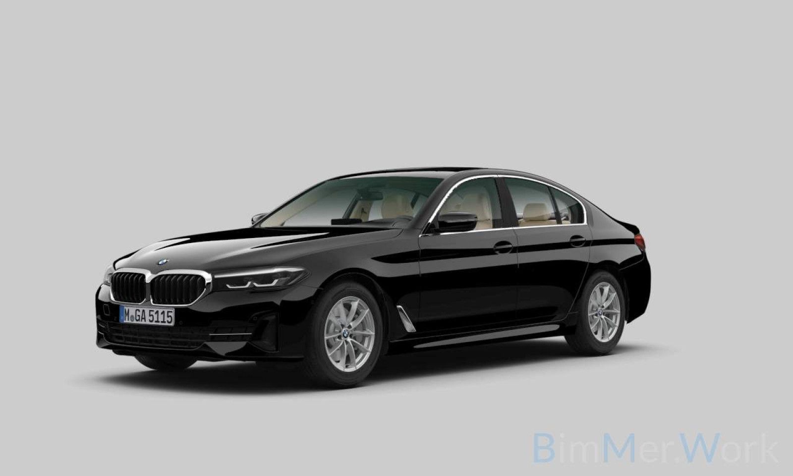 Fahrzeugabbildung BMW 530i Kamera Glasdach DAB Lenkrhzg Klima-4. Alarm