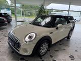 MINI COOPER_D Cabrio Cooper D Navi LED - MINI MINI: Cabrio, D