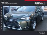 Lexus UX 250h Style Edition - Lexus aus 2021