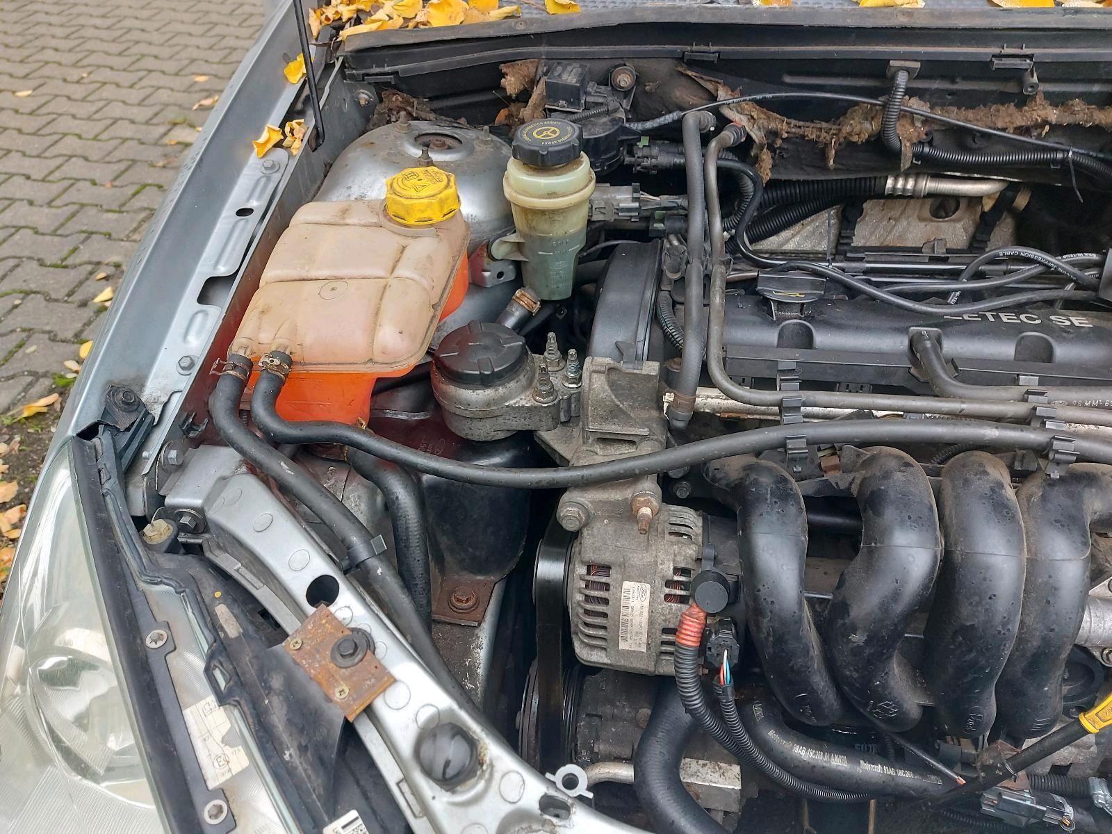 Ford Focus 2004 — photo 10