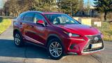 Lexus NX 350h - Lexus NX-Serie von privat