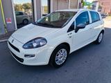 Fiat Punto 5 Porte Punto 5p 1.2 Young c/navi,rad - Fiat Punto: Young
