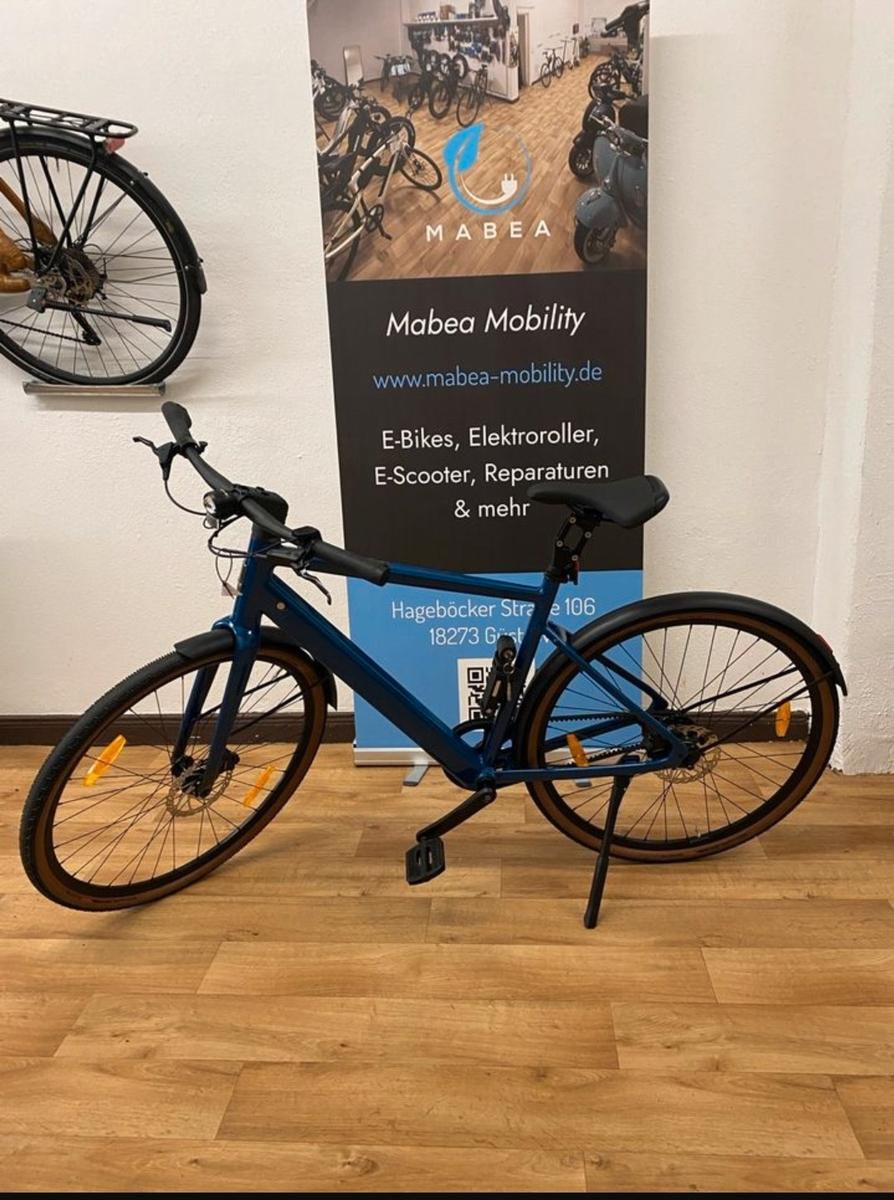 Deruiz Turmali E-Bike mit Riemen