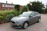 Skoda Scala 1.0TSI Tour*Klimatr,Sitzhzg,APP,PDC,Alu17* - Skoda Scala: Tour