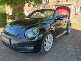 Volkswagen New Beetle1.4 Excl. DSG 160PS Kette+Wasserp. neu - Volkswagen New Beetle mit Benzin-Antrieb: Automatik