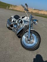 Harley-Davidson VRSCA V- Rod  - HARLEY-DAVIDSON WEIß