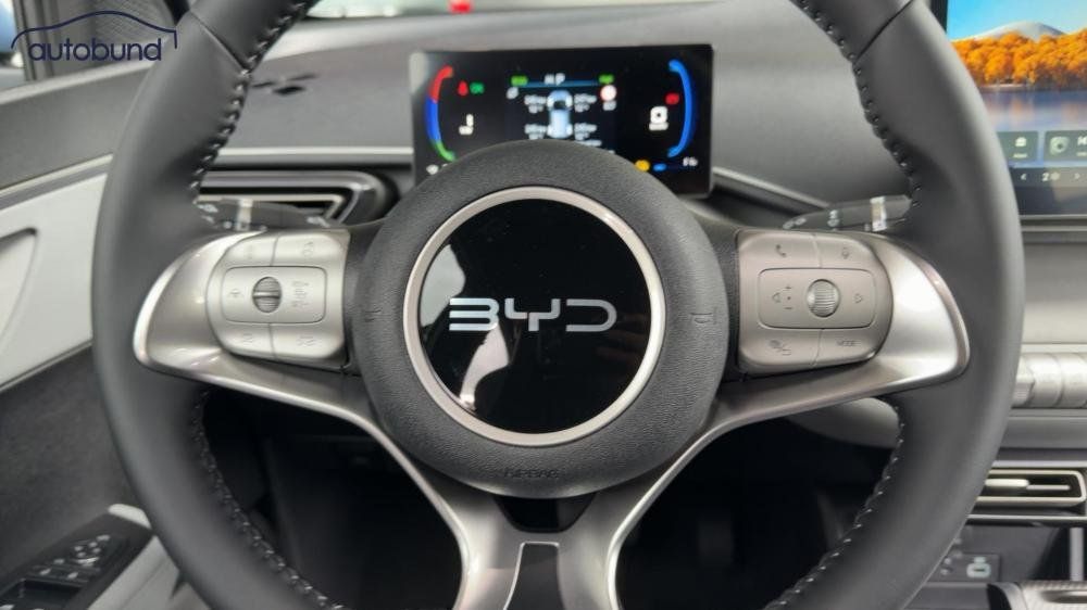 BYD DOLPHIN