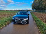 Audi S5 3.0 TFSI S tronic quattro Cabriolet - - Audi S5 in Stuttgart