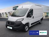 Fiat Ducato 30 140 Multijet L2H2 - Fiat Ducato mit Diesel-Antrieb: Van, Schaltgetriebe