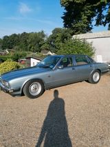 Jaguar jaguar xj 40 sovereign H kenzeichen - Jaguar XJ40: Sovereign