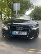 Audi A5 3.0 TDI (DPF) S tronic quattro Cabriolet  V6