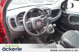 Fiat Panda Cross Red I Sonderedition "RED" I Allwette - Fiat Panda Gebrauchtwagen in Stuttgart