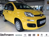Fiat Pandina ICON 1.0 Klima PDC DAB USB teilb.Rücksb  - scheckheftgepflegte Fiat New Panda
