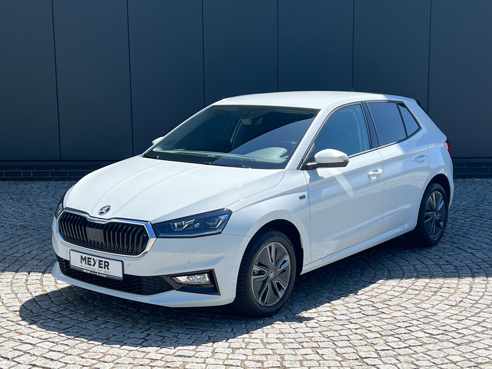 Fahrzeugabbildung SKODA Fabia Selection Tour 1.0 TSI *Vorb. AHK, LED, Ka
