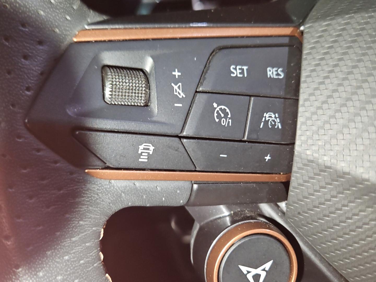 Cupra Formentor 4Drive 2.0 Sportpaket Navi Leder TopVi, миниатюра 23