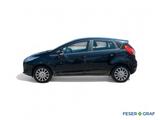 Ford Fiesta 1.0 Trend Cool & Sound/Sitzhzg./Klima - Ford Fiesta: Schwarz, Metallic