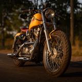 Harley-Davidson Sportster - Harley-Davidson Motorräder in Braunschweig