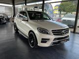 Mercedes-Benz ML 350 CDI BlueTec*AMG Sport-Paket*Night Vision - Mercedes-Benz ML 350 Gebrauchtwagen in Bremen