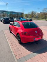 Volkswagen Beetle mit Panoramadach - Volkswagen Käfer: Limousine