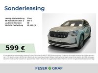 Skoda Kodiaq - Vorschau Bild 1