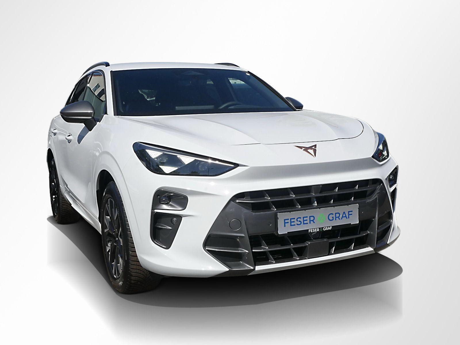 Cupra Terramar - Bild 5